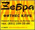 Зебра