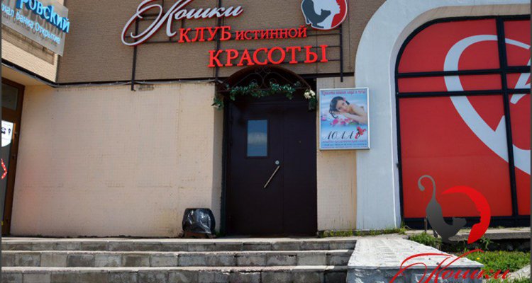Кошки, центр красоты и здоровья