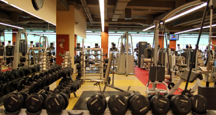 Korolef Fitness