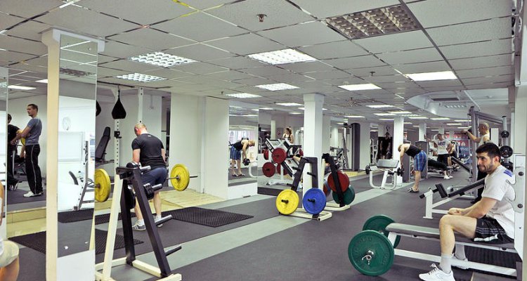 Gym Fitness Studio