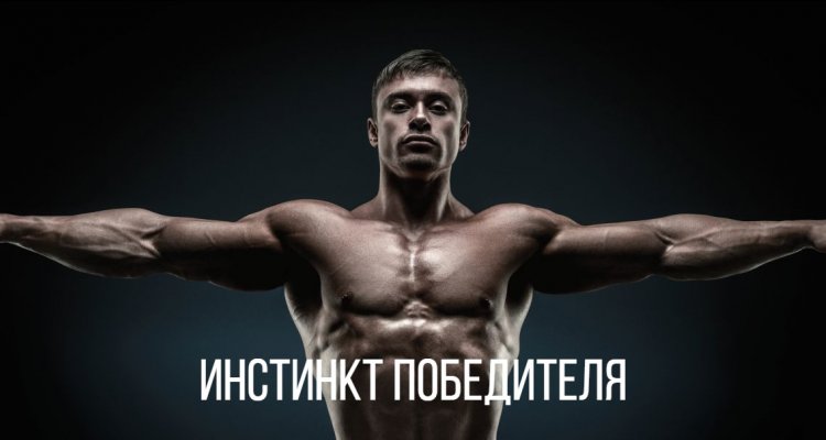Star Fitness