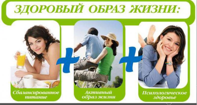 Хобби-Т, студия здорового образа жизни