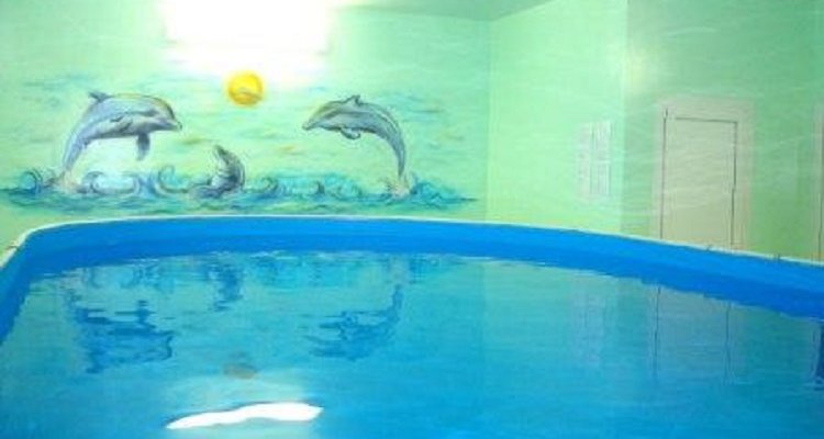 Морские котики