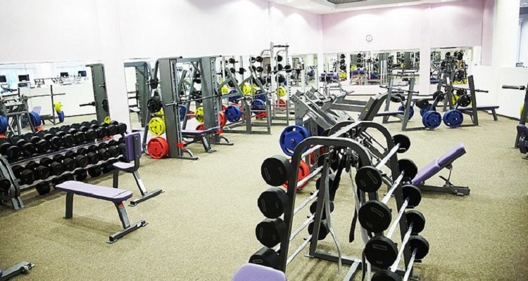 X-Fit Монарх
