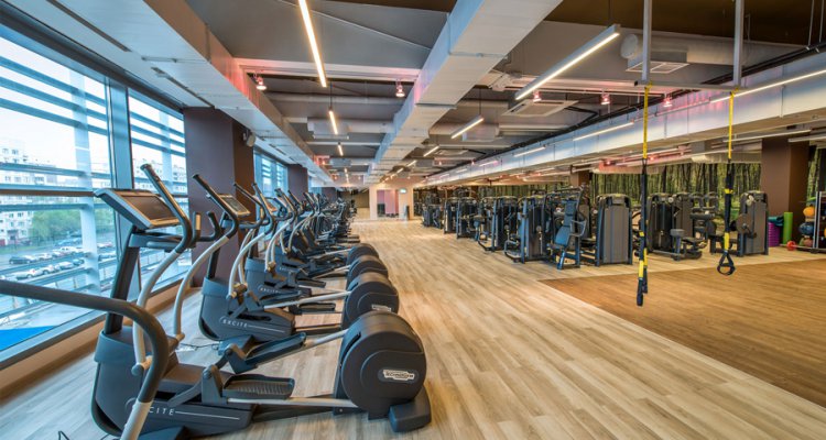 Gio Wellness