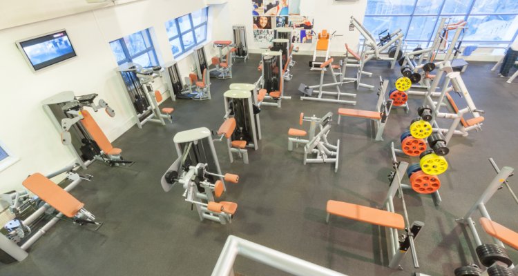 AversFit